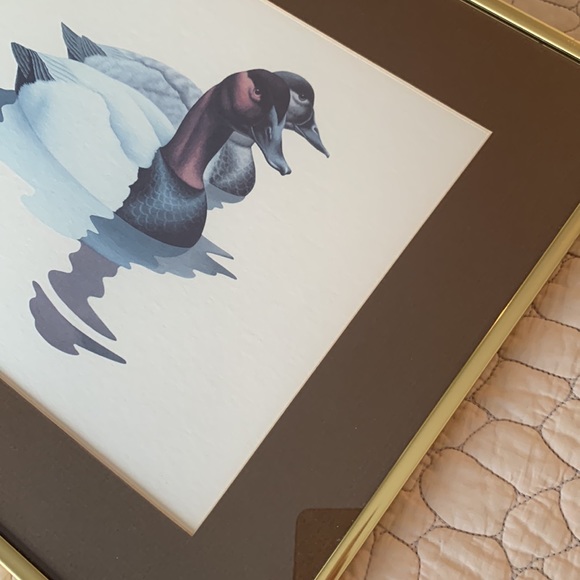 Richard Sloan framed art of ducks - Picture 7 of 7